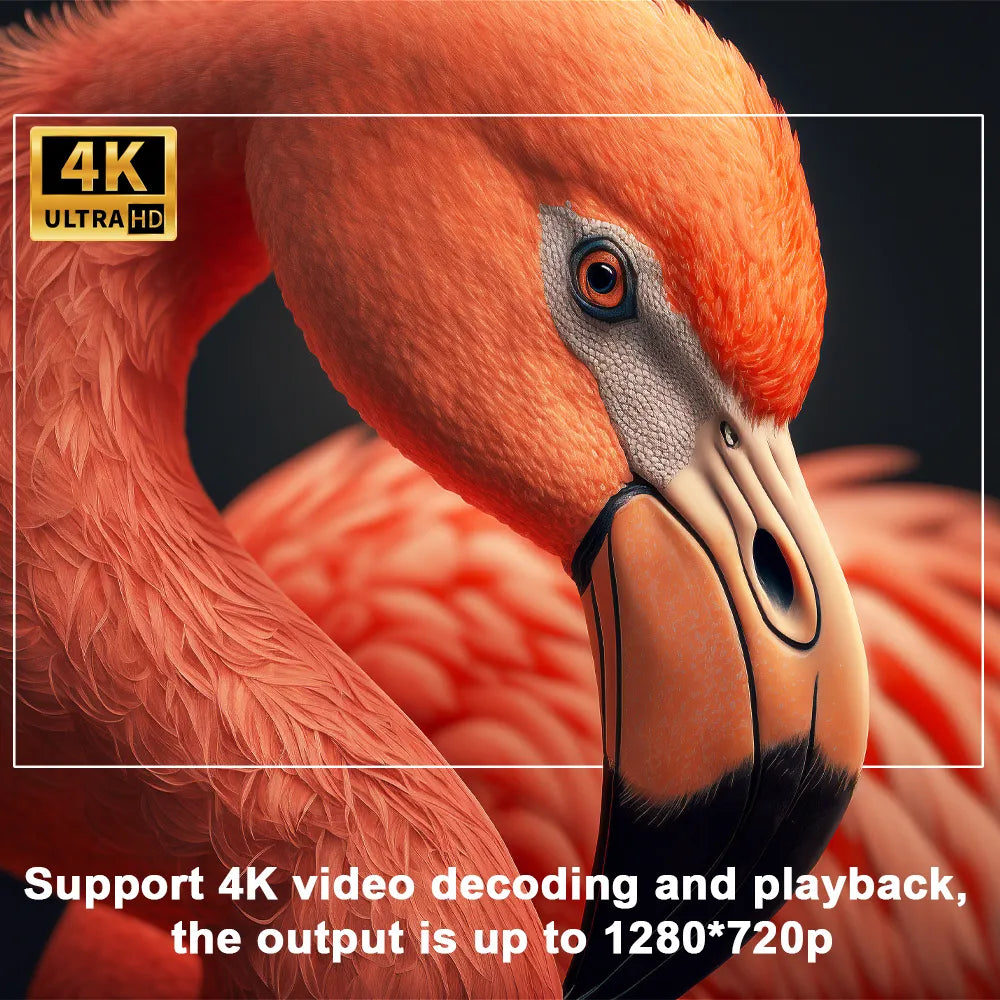4K Projector™ - gotowinkel