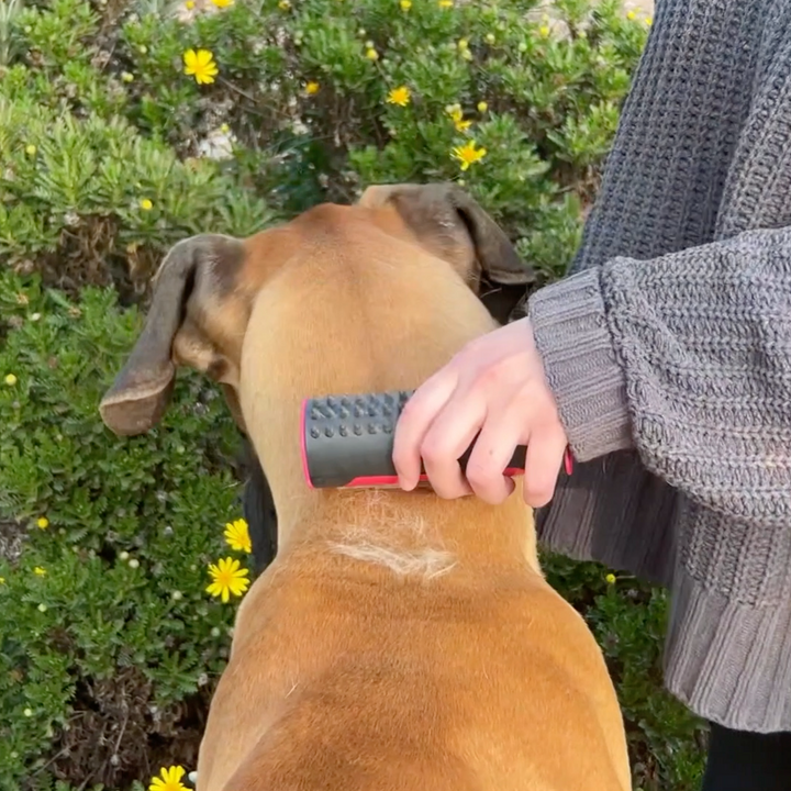 PetGroomer™ borstel voor ondervacht en vacht