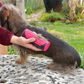 PetGroomer™ borstel voor ondervacht en vacht