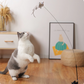 SimuCatStick™ | Haal fysiek en mentaal alles uit jouw kat